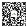 17225674024697grs02